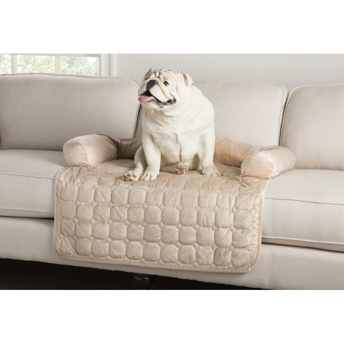 Archie & Oscar™ Delilah Furniture Protector Bolster & Reviews Wayfair